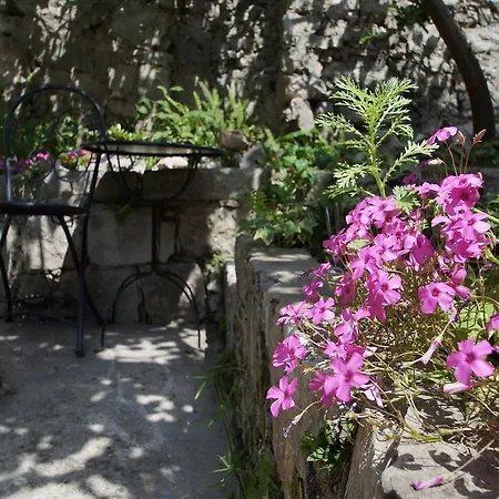 Guest house Guesthouse Old Town