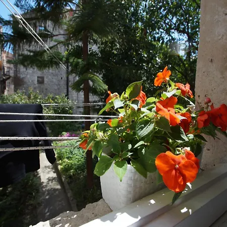 בית הארחה Old Town קורצולה